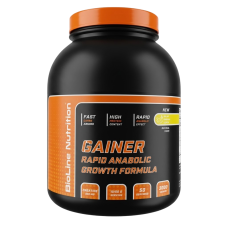 Гейнер Rapid Anabolic Bioline Nutrition 3 кг | Банка