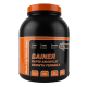 Гейнер Rapid Anabolic Bioline Nutrition 3 кг | Банка
