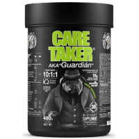 Caretaker BCAA - 480 г - тропік