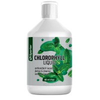 Chlorophyll liquid - 450 мл