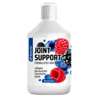 Joint Support - 500 мл - berry