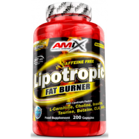 Lipotropic Fat Burner - 100 капс